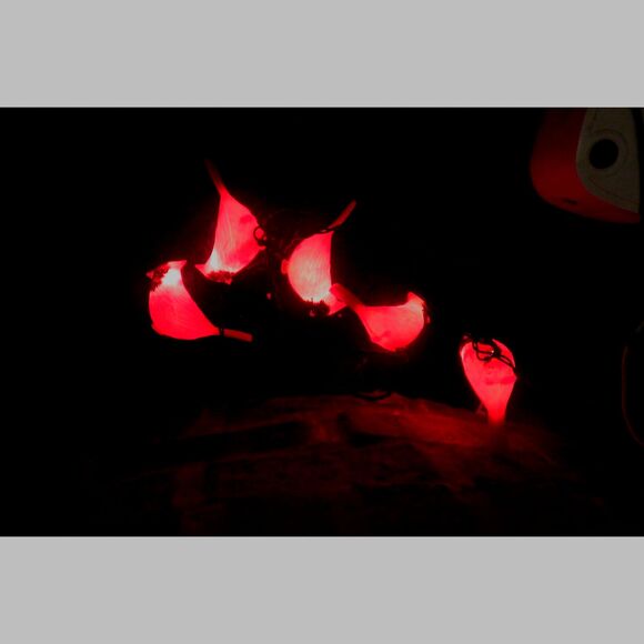 Christmas Lights  5 Blow Mold Cardinals Birds on a String of Lights - Picture 3 of 4